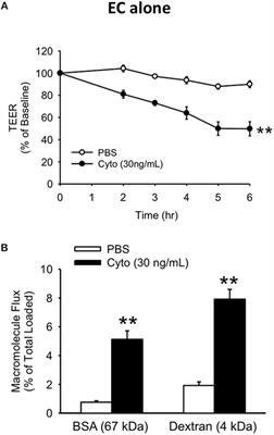 Differential Mechanisms of Septic Human Pulmonary Microvascular Endothelial Cell Barrier Dysfunction Depending on the Presence of Neutrophils